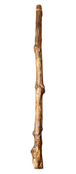 Heartland Didgeridoo (HD567)